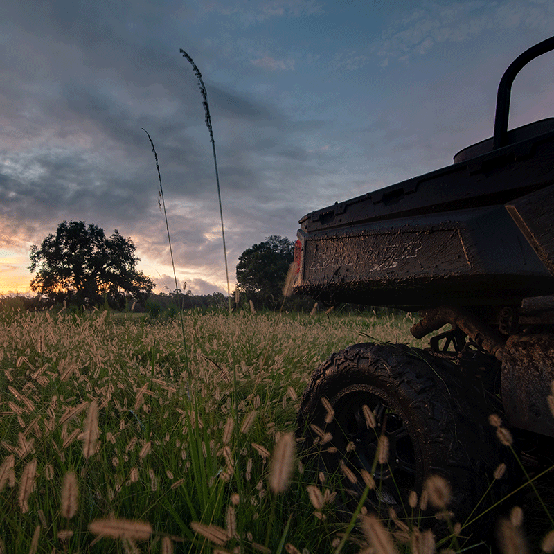 Photo of an old vehicle in a field