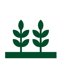 Greenbelt Icon